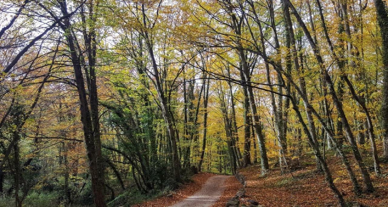 Can Costa Olot Esterno foto
